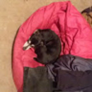 Meet your Posher, Jay